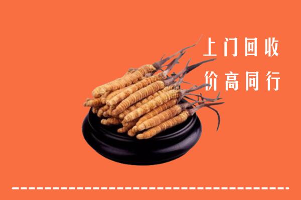 高价求购：高坪区回收散虫草